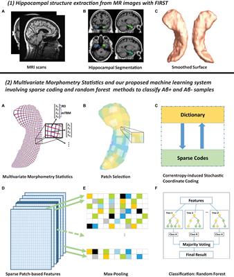 Predicting Brain Amyloid Using Multivariate Morphometry Statistics, Sparse Coding, and Correntropy: Validation in 1,101 Individuals From the ADNI and OASIS Databases